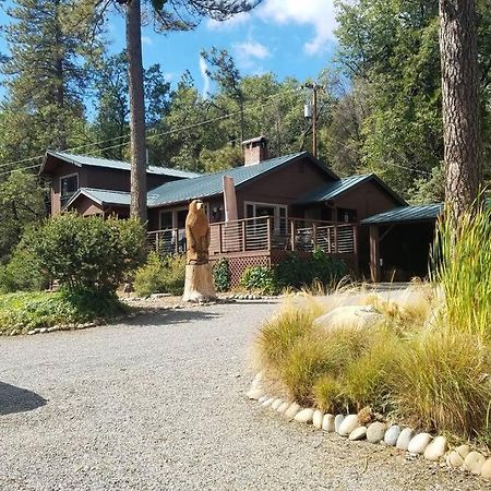 Uncle Grizz'S Cabin...Get Intouch With Nature Bass Lake Annex エクステリア 写真