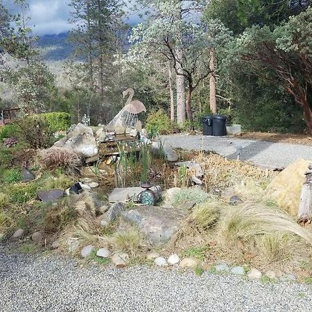 Uncle Grizz'S Cabin...Get Intouch With Nature Bass Lake Annex エクステリア 写真