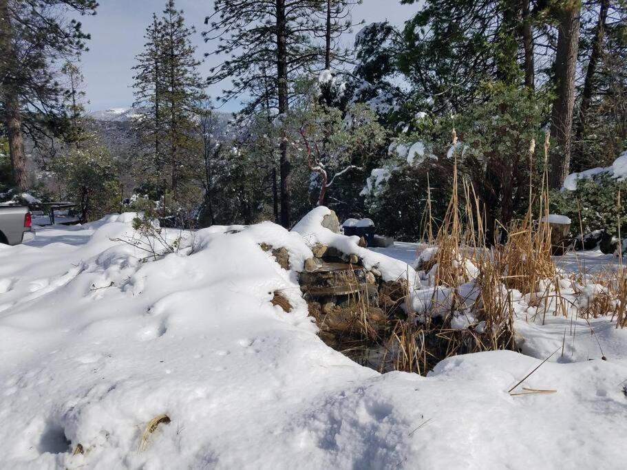 Uncle Grizz'S Cabin...Get Intouch With Nature Bass Lake Annex エクステリア 写真