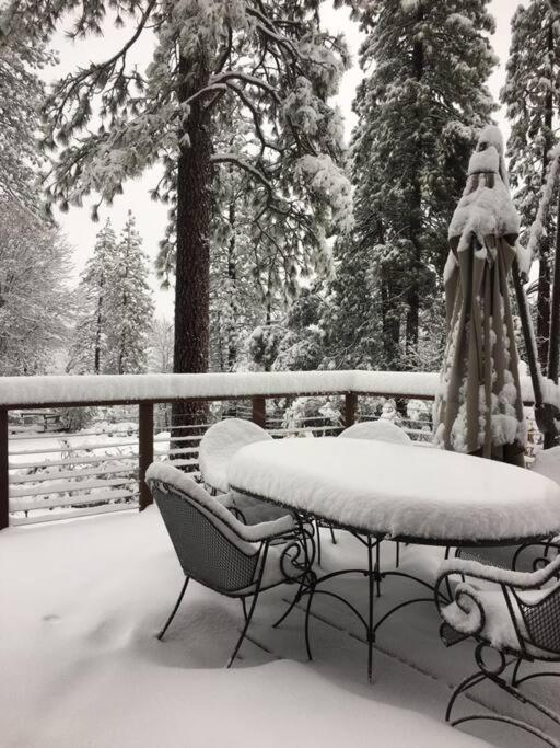 Uncle Grizz'S Cabin...Get Intouch With Nature Bass Lake Annex エクステリア 写真