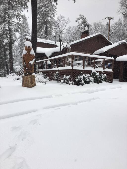 Uncle Grizz'S Cabin...Get Intouch With Nature Bass Lake Annex エクステリア 写真