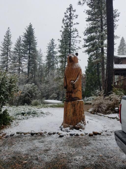 Uncle Grizz'S Cabin...Get Intouch With Nature Bass Lake Annex エクステリア 写真