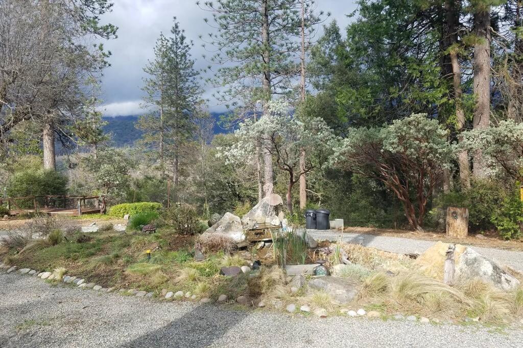 Uncle Grizz'S Cabin...Get Intouch With Nature Bass Lake Annex エクステリア 写真