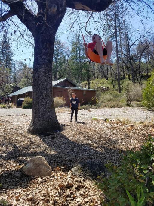 Uncle Grizz'S Cabin...Get Intouch With Nature Bass Lake Annex エクステリア 写真