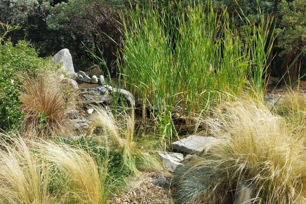 Uncle Grizz'S Cabin...Get Intouch With Nature Bass Lake Annex エクステリア 写真