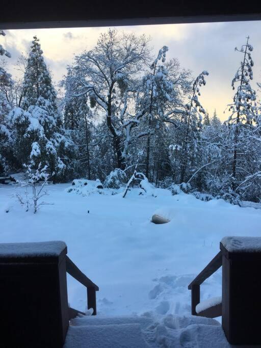 Uncle Grizz'S Cabin...Get Intouch With Nature Bass Lake Annex エクステリア 写真